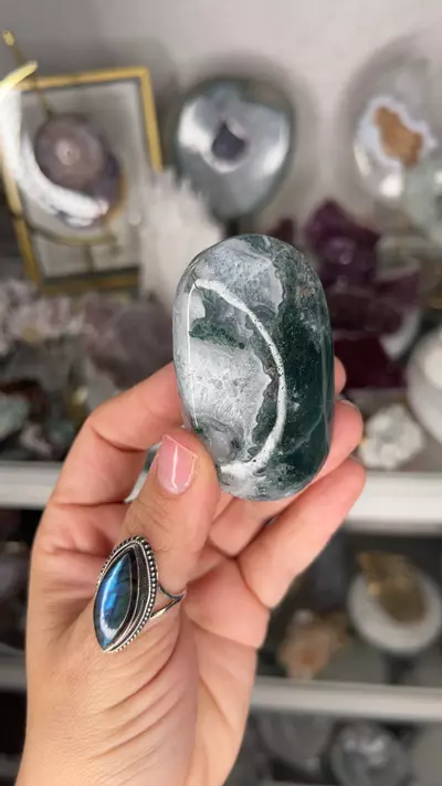 plant/Moss Agate Palm 30Q-0-thumbnail