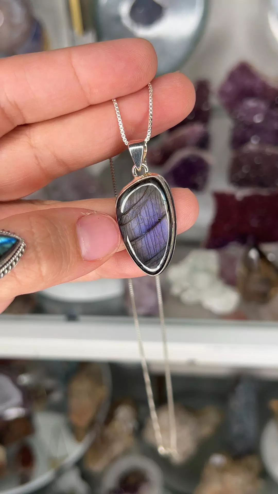 plant/Purple Lab $128-0