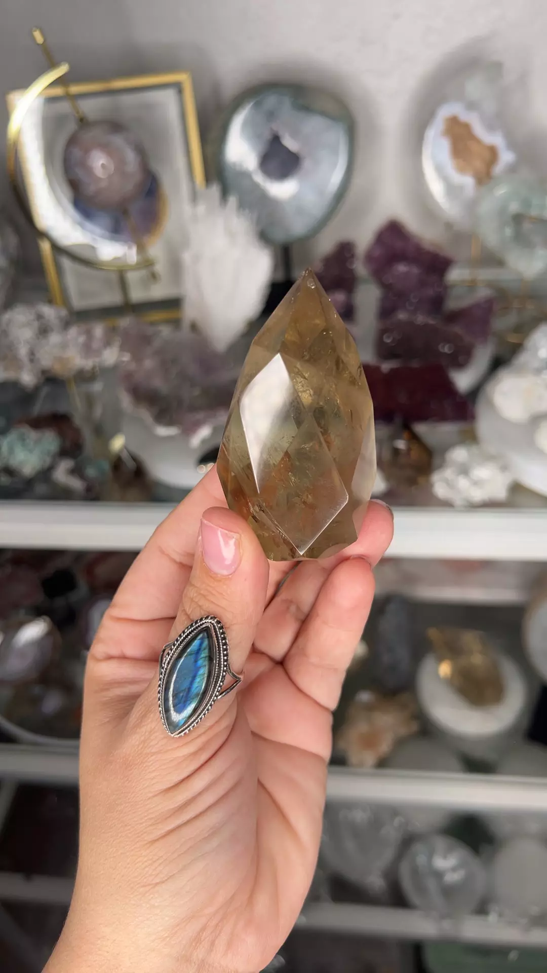 plant/Faceted Citrine Egg 120-0