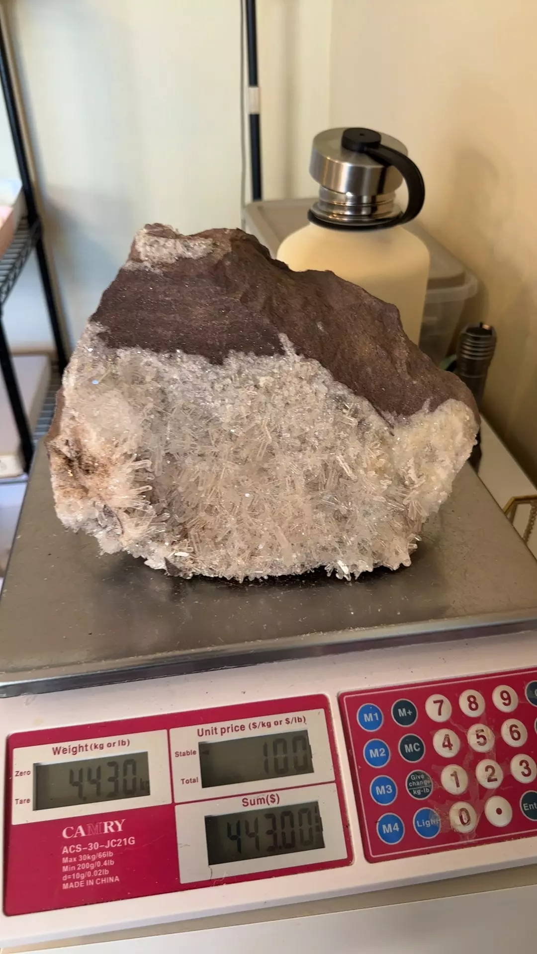 plant/Columbian Lemurian 886-0