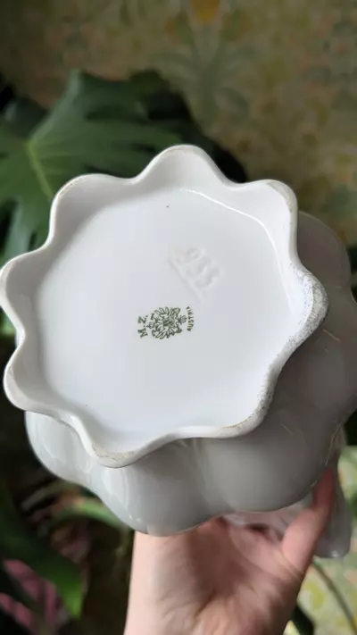 plant/antique hot chocolate teapot-1-thumbnail