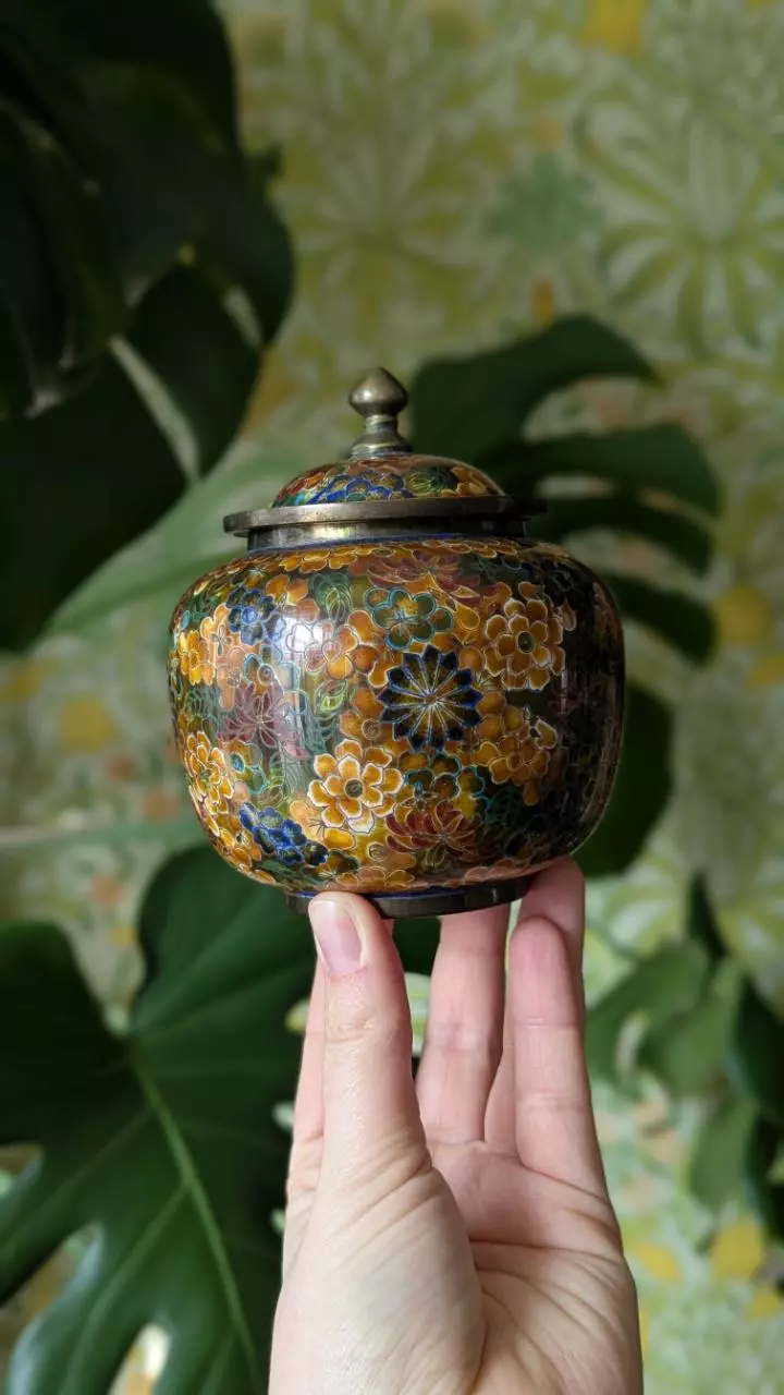 plant/Chinese cloisonne - early 20th Century-0