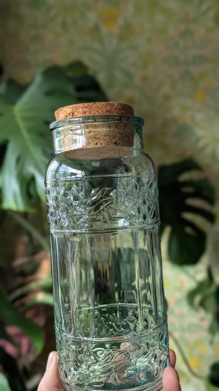 plant/vintage jar with cork lid - made in canada-1