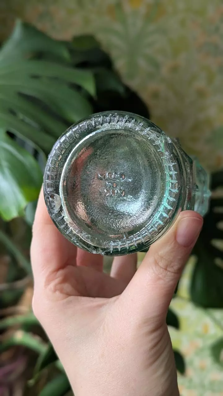 plant/vintage glass bottle with cork, made in spain-1