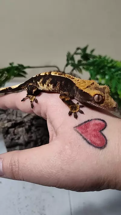 plant/Myers & Krueger 07/20/24-0-thumbnail