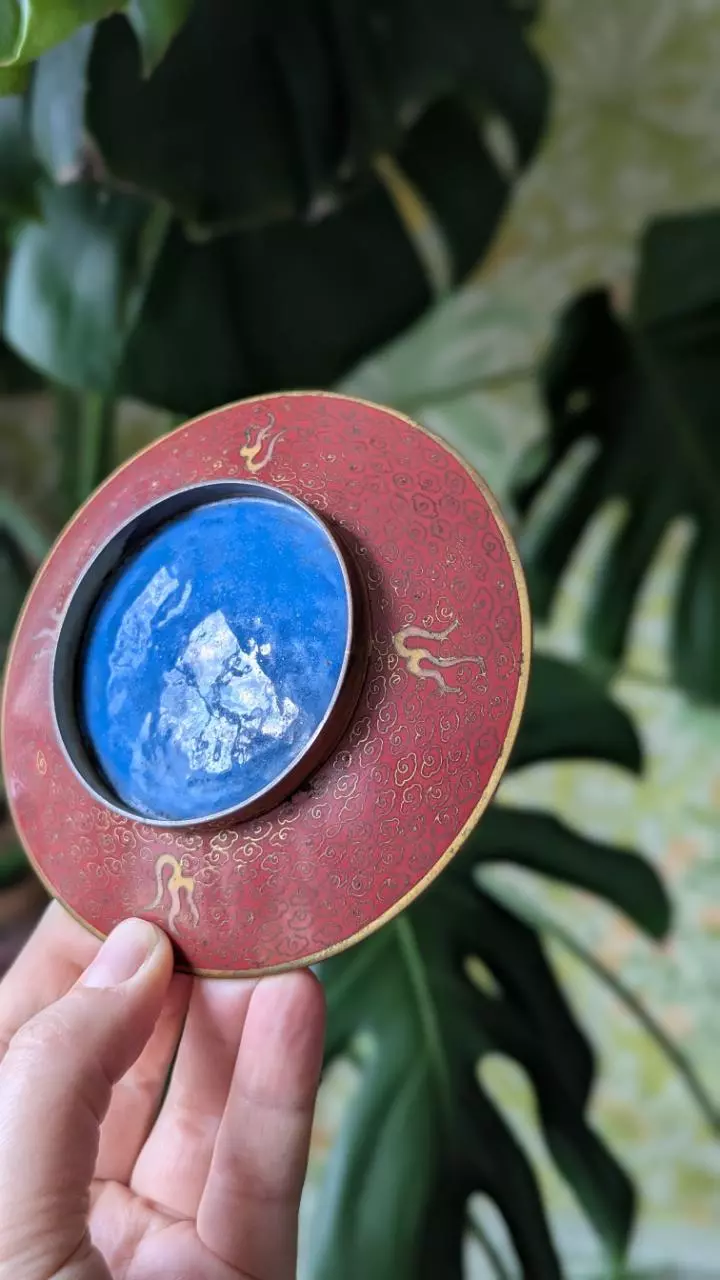 plant/19th century Chinese cloisonne dragon plate-3
