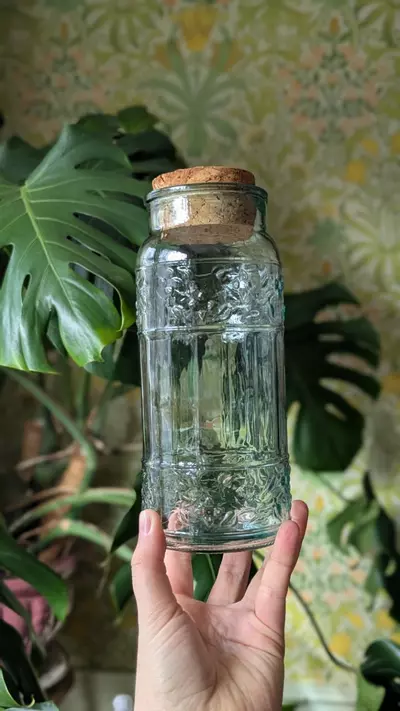 plant/vintage jar with cork lid - made in canada-0-thumbnail