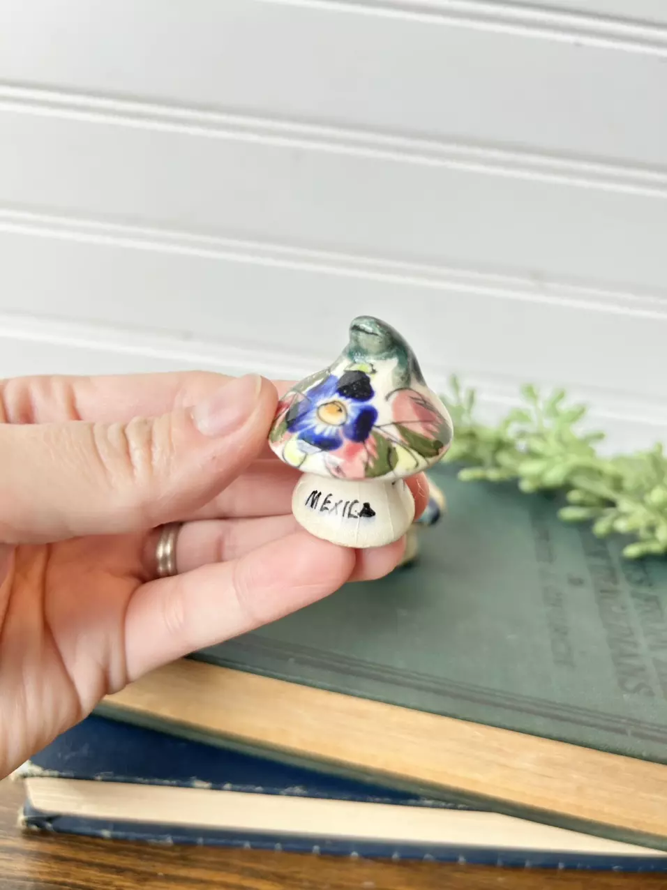 plant/Hand painted ceramic mushrooms (set of 3)-1