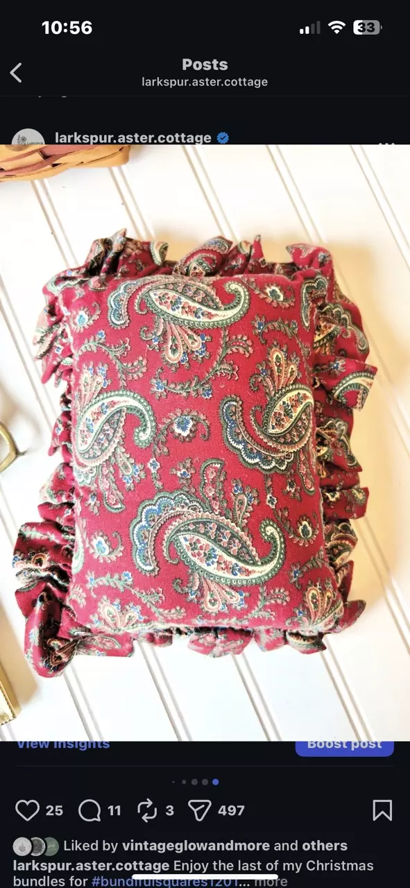 plant/cross stitched Christmas goose pillow-1