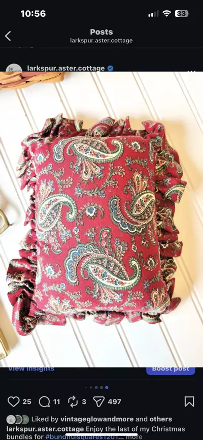 plant/cross stitched Christmas goose pillow-1-thumbnail