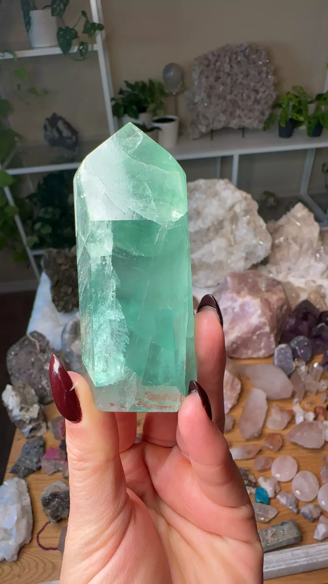 plant/Brazilian fluorite 68-0