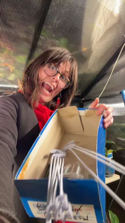 plant/10 item planty items-0-thumbnail