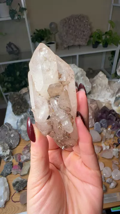 plant/smoky scarlet Lemurian 120-0-thumbnail