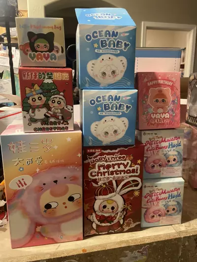 plant/$12 buyers choice-0-thumbnail