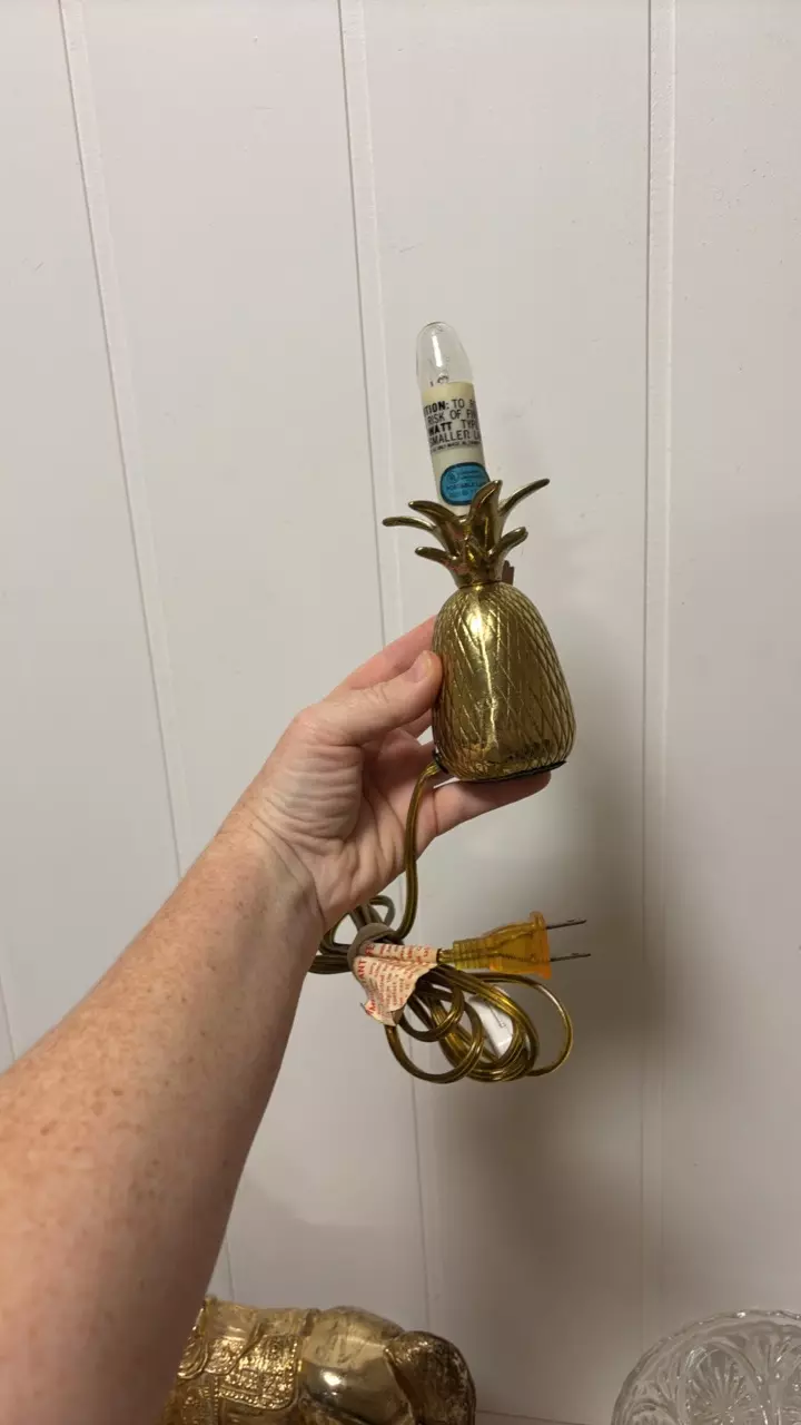 plant/vintage brass pineapple lamp (no shade, does work!)-0