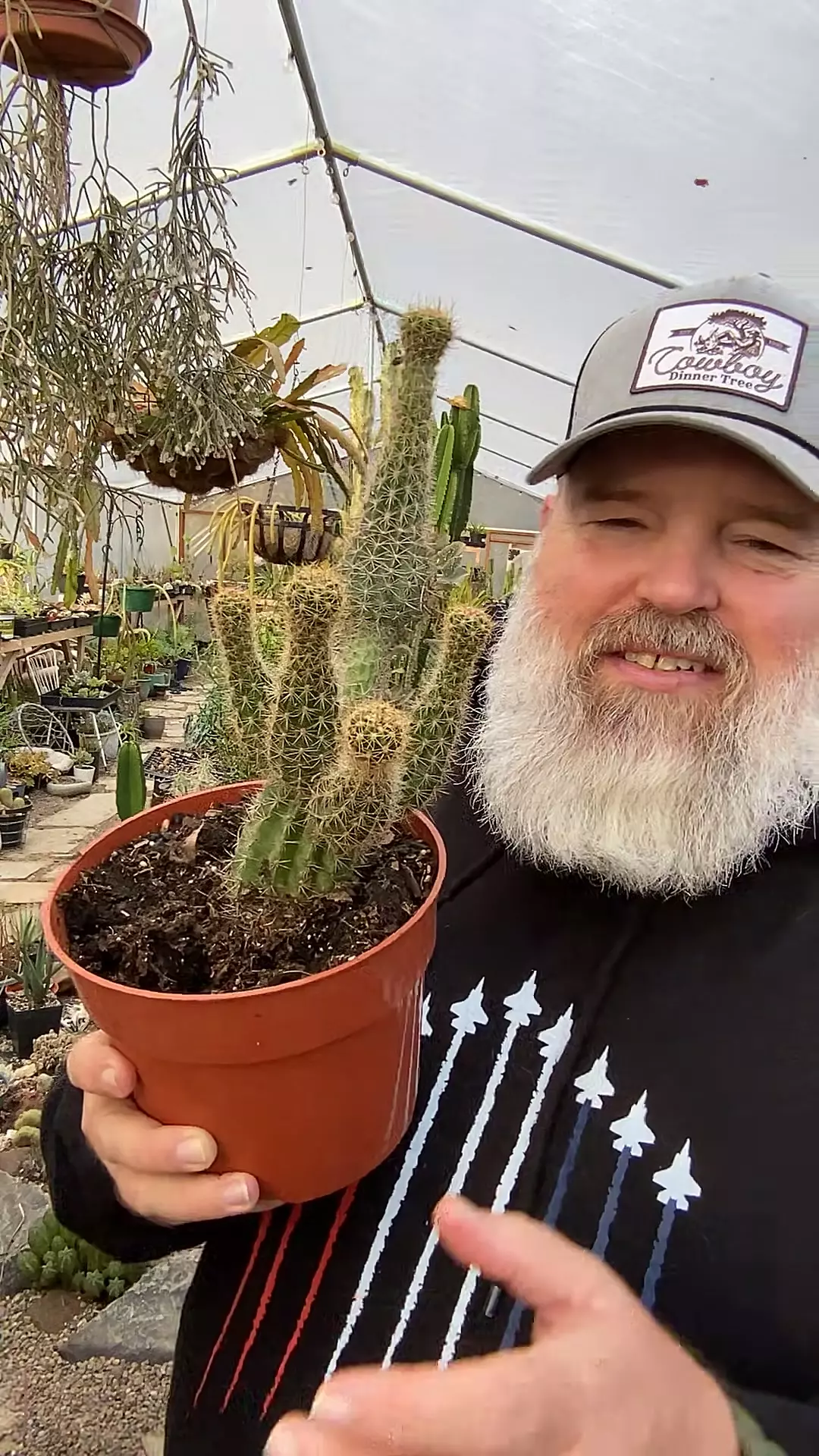 plant/Cactus Golden Torch Wonky 6”-0