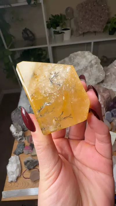 plant/hq Dendtric golden healer 220-0-thumbnail