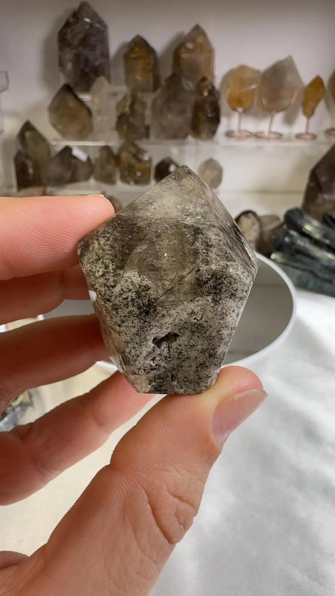 plant/s10.392 black Rutile-0