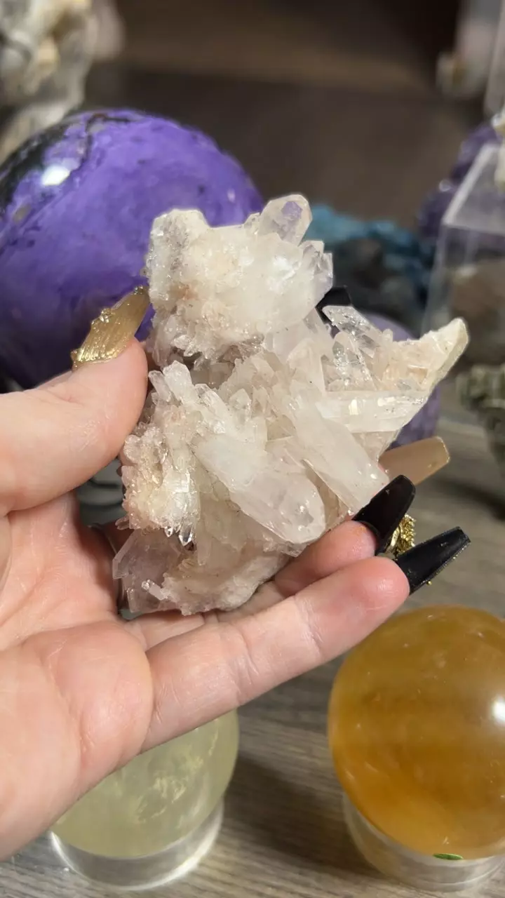 plant/Colombian Pink Lithium Cluster-0