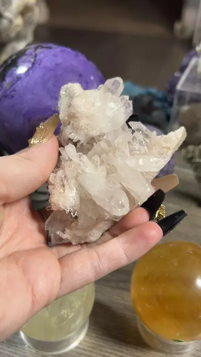 plant/Colombian Pink Lithium Cluster-0-thumbnail