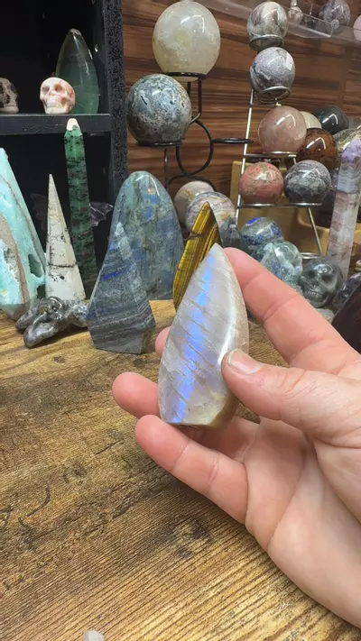 plant/moonstone-0-thumbnail