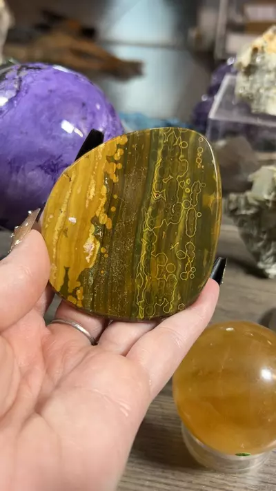 plant/Kabamby OJ Slab-0-thumbnail