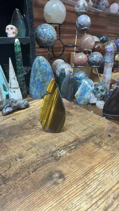 plant/tigers eye-0-thumbnail