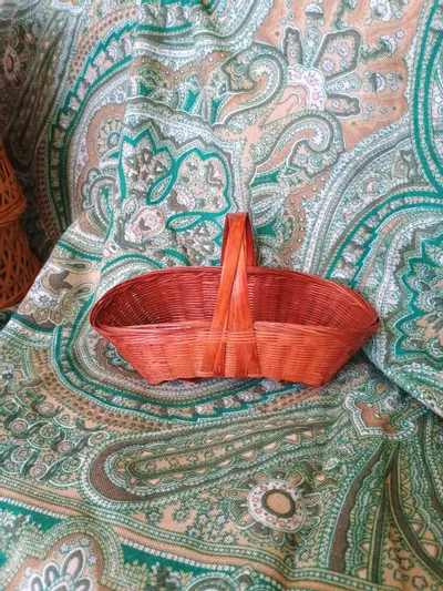 plant/Mini Basket Bundle-2-thumbnail