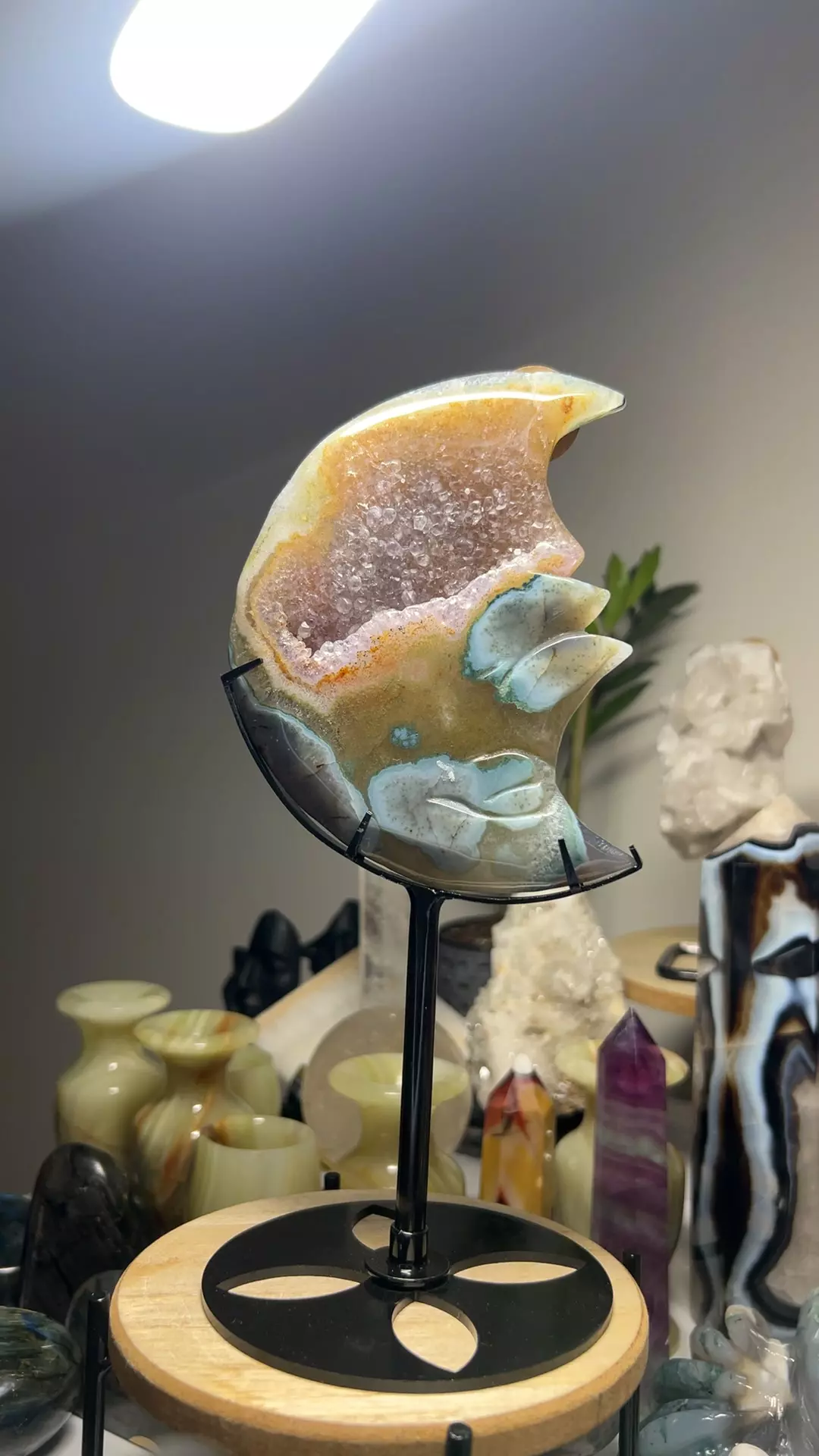 plant/amethyst moon statement-0