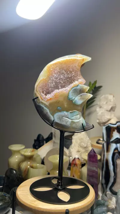 plant/amethyst moon statement-0-thumbnail