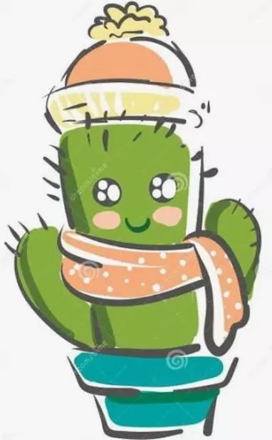 plant/Live Arrival ❄️ Winter Guarantee-0-thumbnail