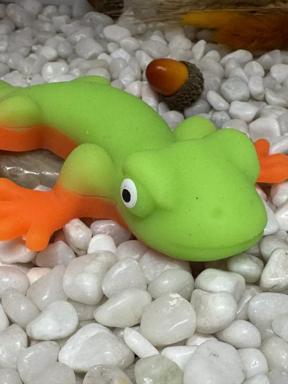 plant/Squishy, jiggly - gecko - green/orange stress relieve toy-0