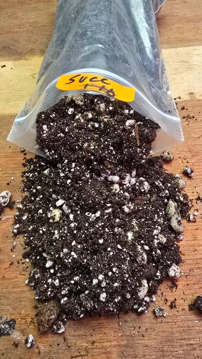 plant/Succulent Soil Mix-0-thumbnail