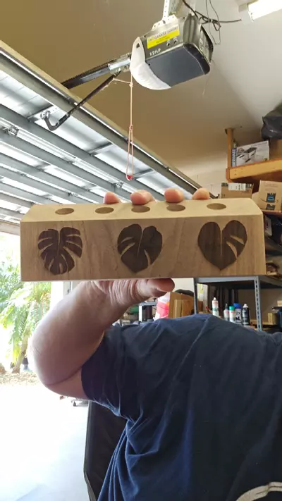 plant/5x black walnut propagation station w/ monstera-0-thumbnail