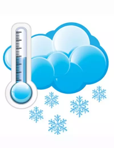 plant/Hold 11/21-0-thumbnail