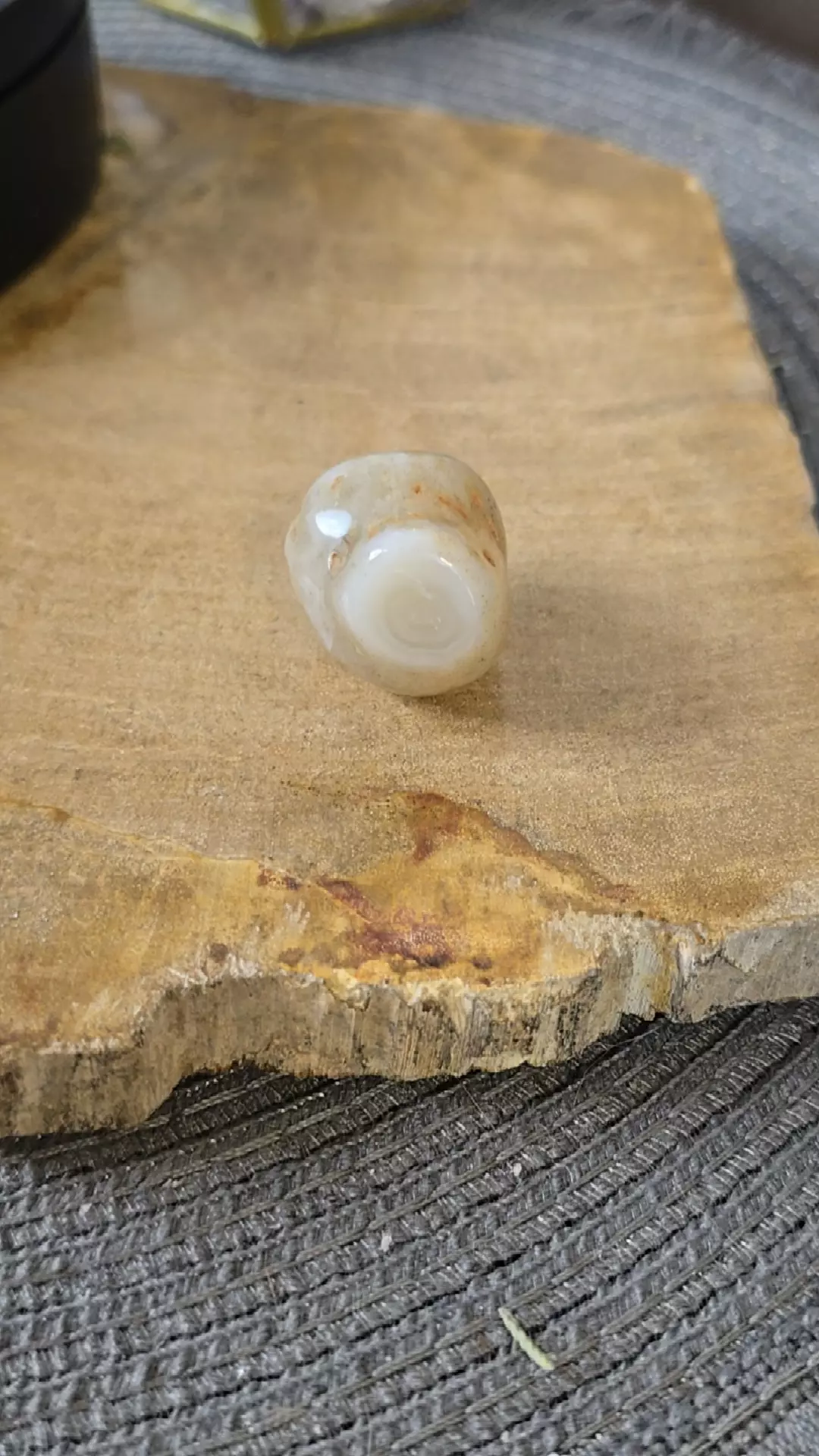 plant/Morroxam Agate F-0