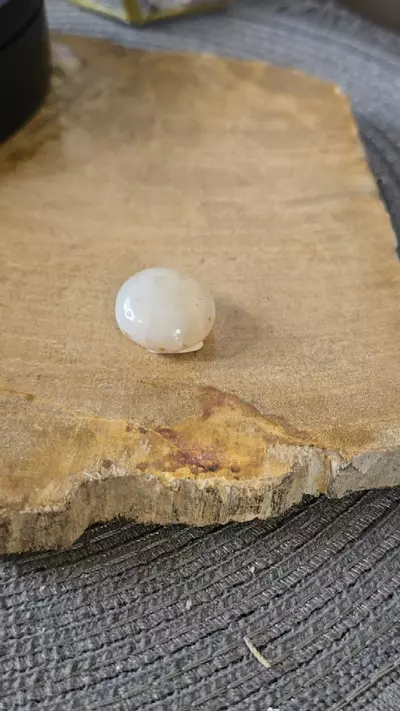 plant/Morrocan Agate E-0-thumbnail