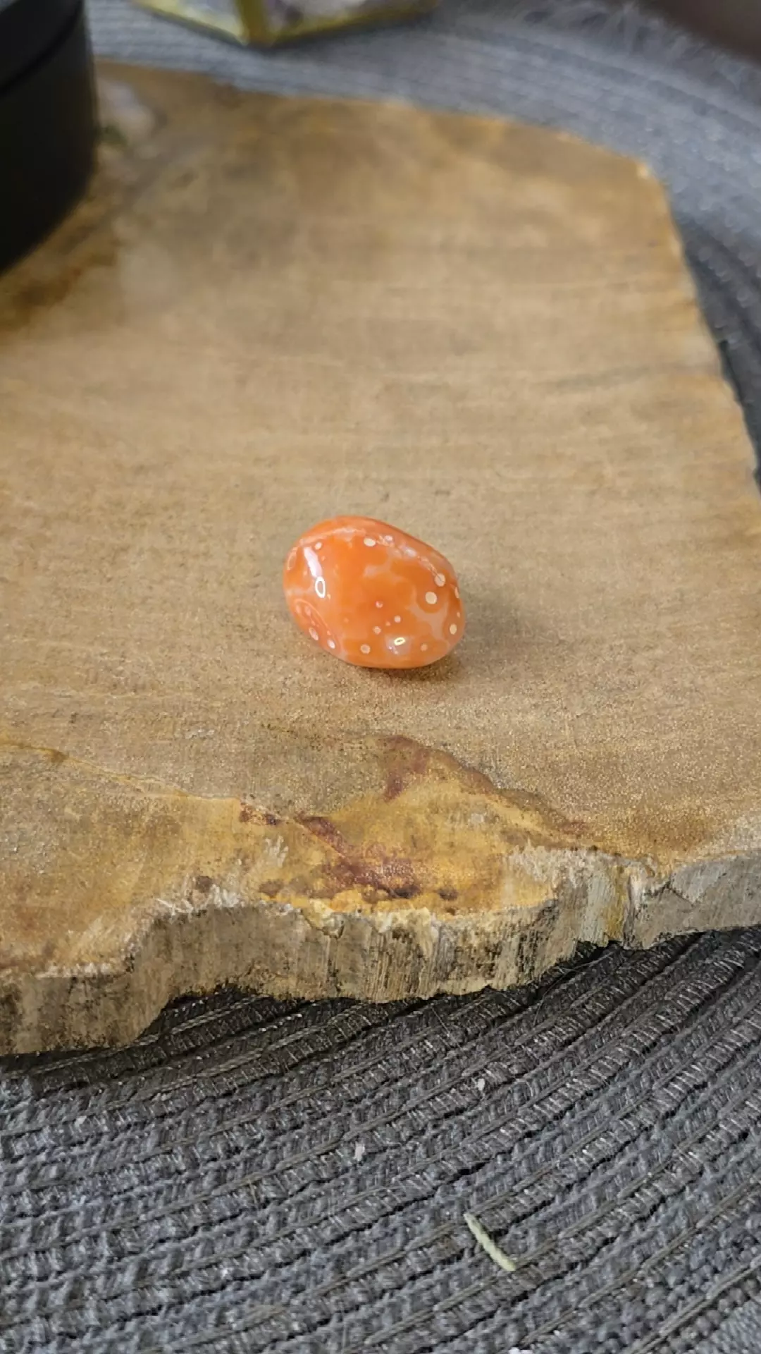 plant/Morrocan Agate D-0