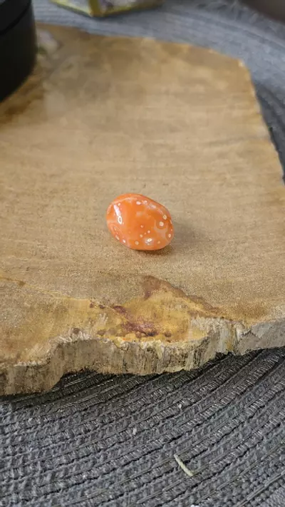 plant/Morrocan Agate D-0-thumbnail