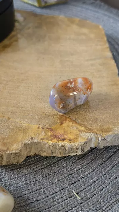 plant/Morrocan Agate G-0-thumbnail
