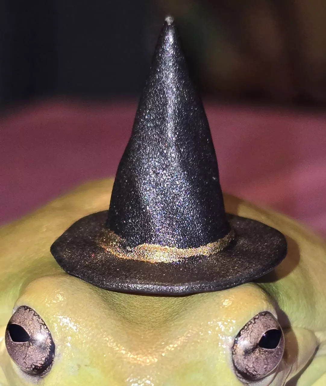 plant/Witch Hat Accessories-0