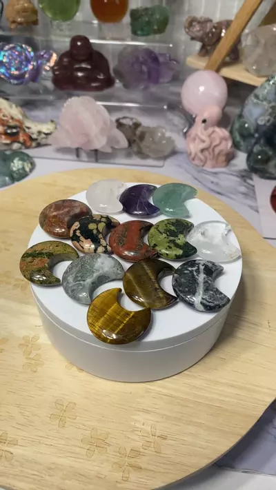 plant/1 Mini moon buyers choice-0-thumbnail