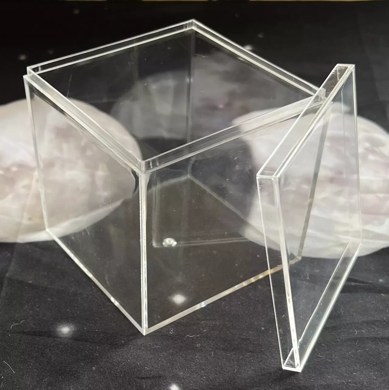 plant/3” x 3” Clear Acrylic Display Box w Lid-0