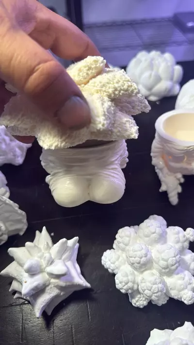 plant/Paint it your own dam self Lopho Mandrake-5-thumbnail