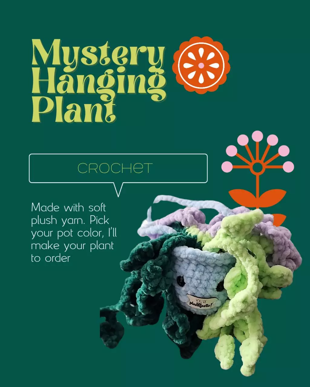 plant/Mystery hanging plant-0