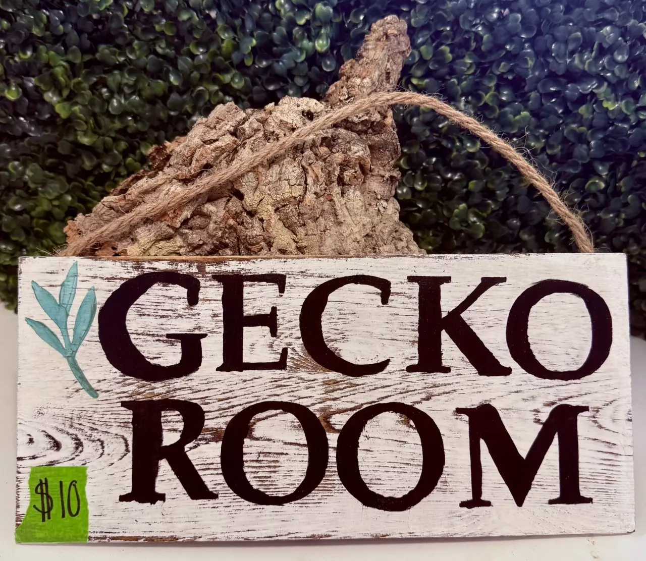 plant/Gecko Room Hand Painted Sign-0