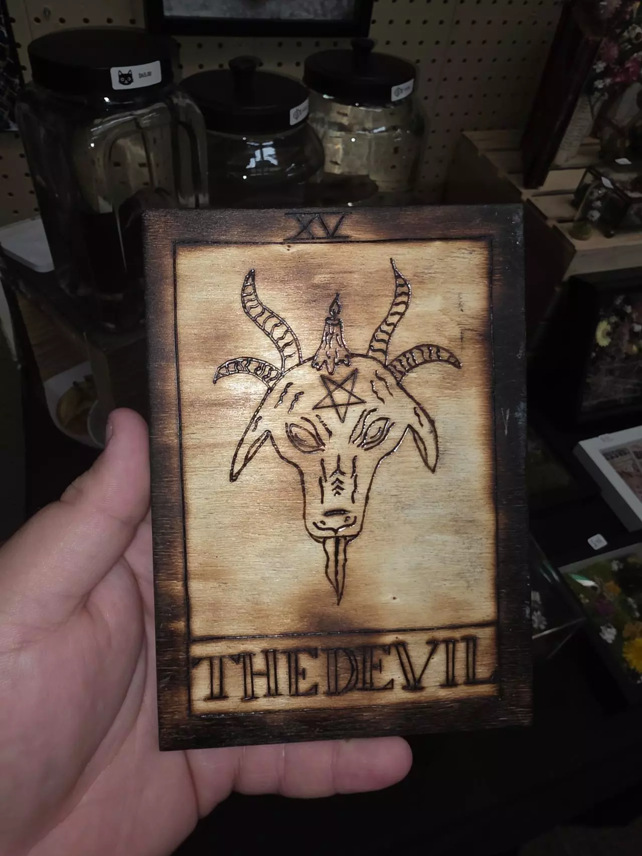 plant/#47 The Devil Tarot-0