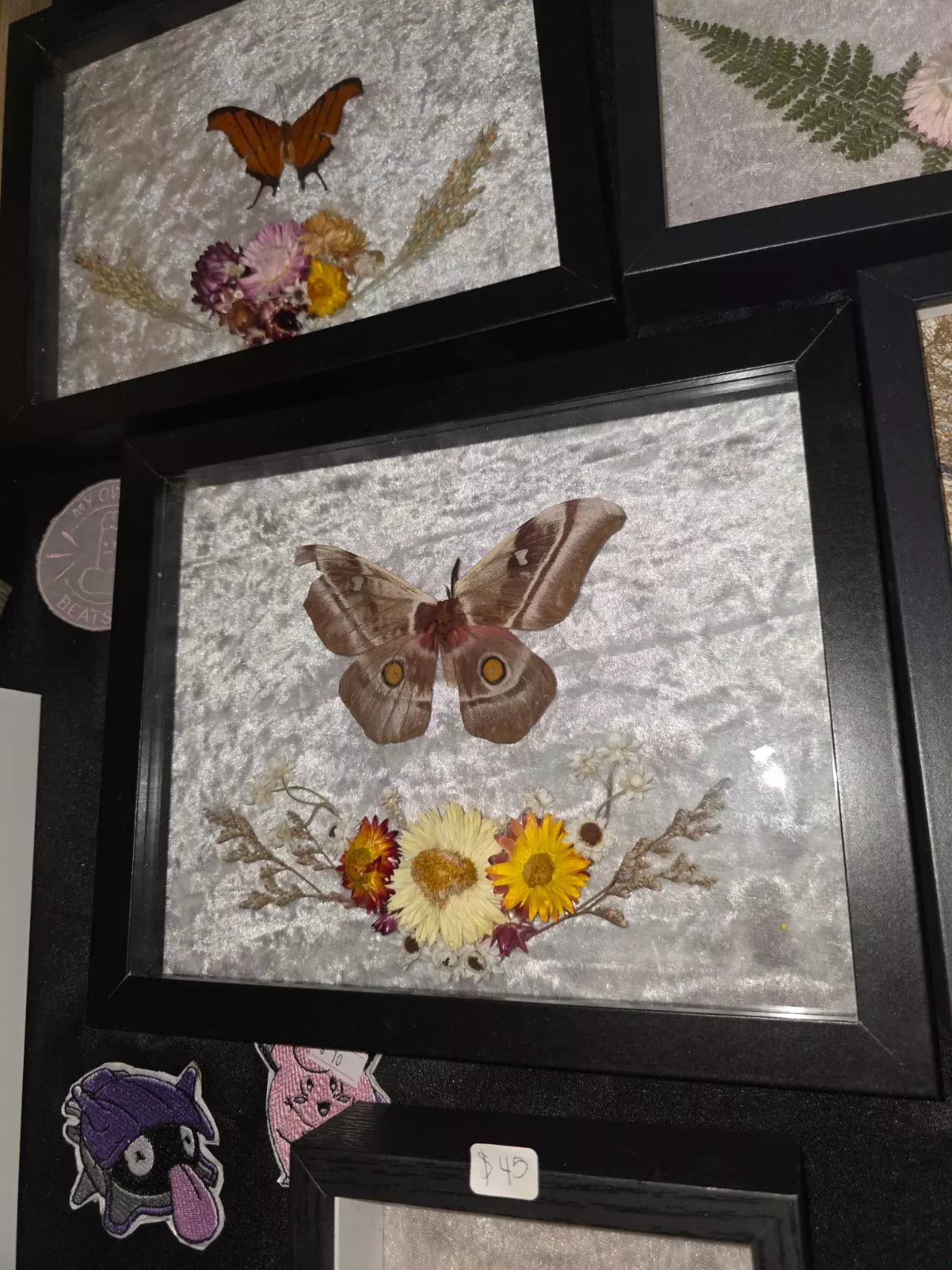 plant/#33 8x10 Moth-0