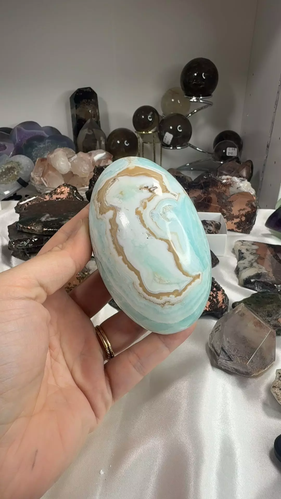 plant/Q5.18 Caribbean Calcite Shiva-0