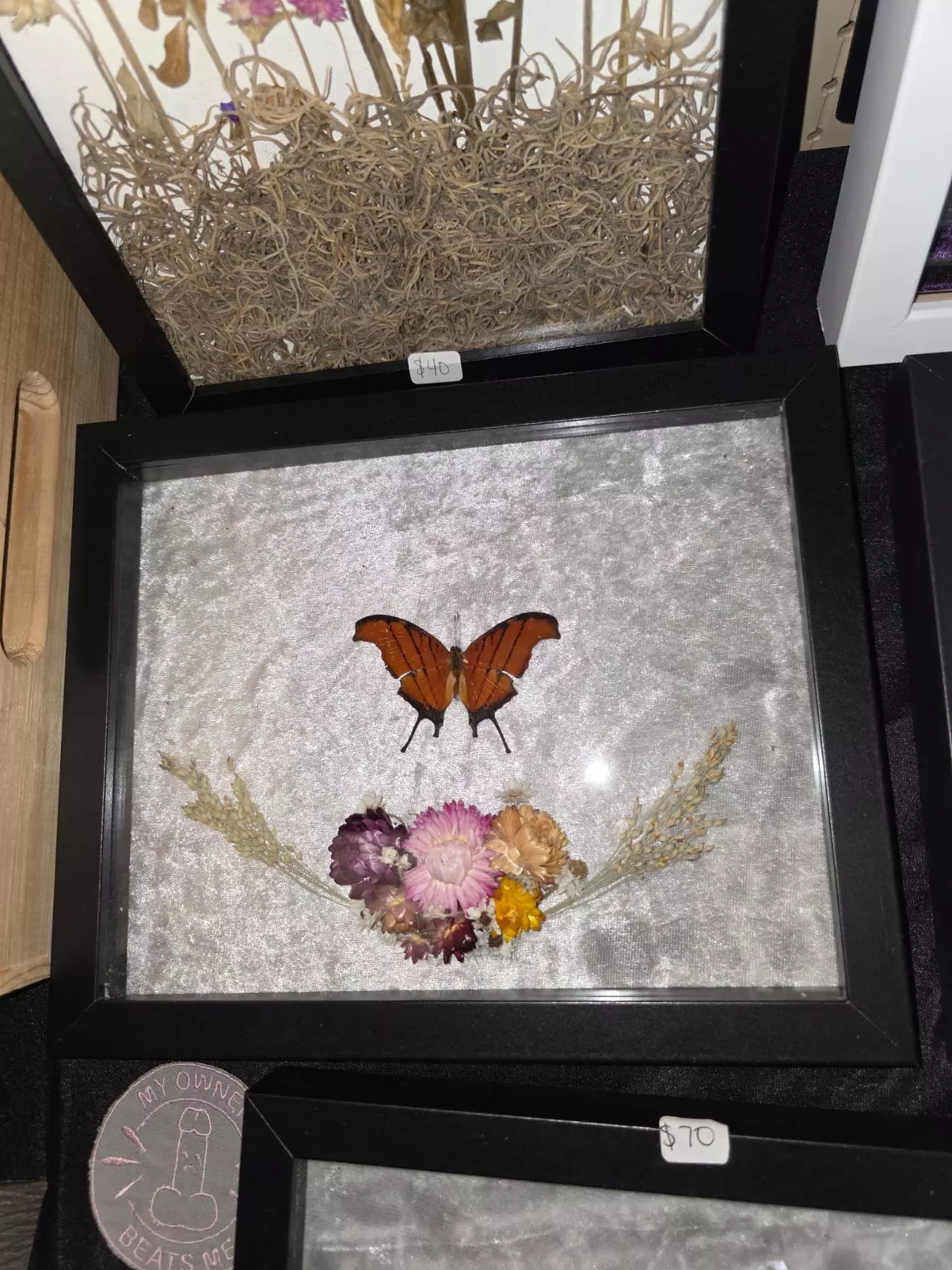 plant/#36 8x10 Butterfly-0